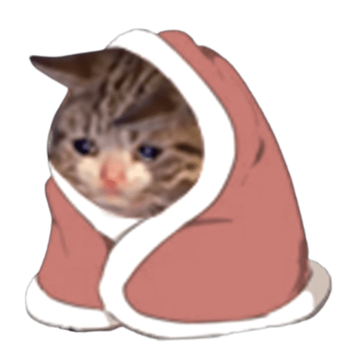 0 Result Images Of Sad Cat Meme Png Png Image Collection